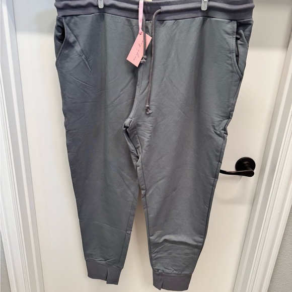 NWT Evy's Tree Size 1X Joggers in Graphite Gray Pants - Picture 3 of 5